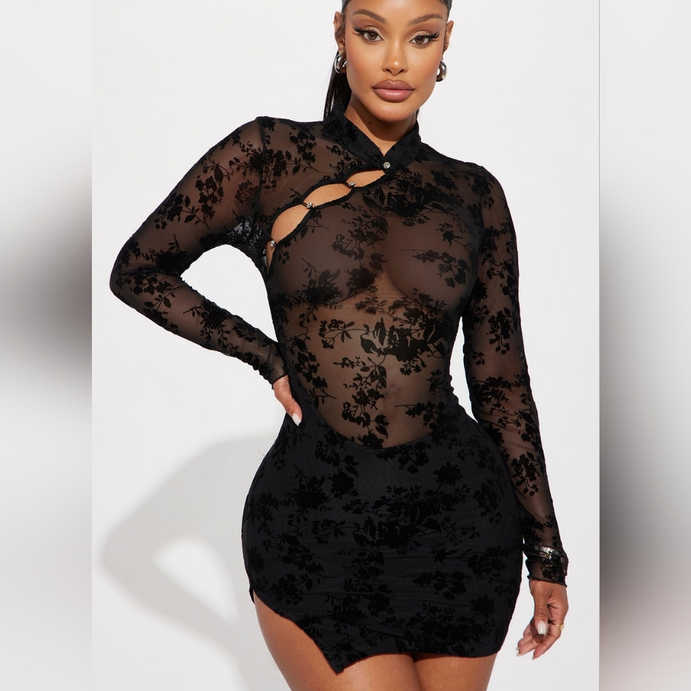 Mesh Mini Dress